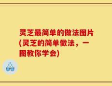 灵芝最简单的做法图片(灵芝的简单做法，一图教你学会)