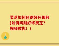 灵芝如何区别好坏视频(如何辨别好坏灵芝？视频教你！)