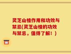 灵芝山楂作用和功效与禁忌(灵芝山楂的功效与禁忌，值得了解！)