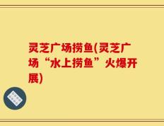 灵芝广场捞鱼(灵芝广场“水上捞鱼”火爆开展)