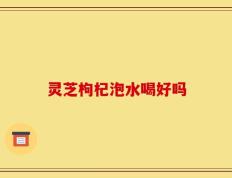 灵芝枸杞泡水喝好吗