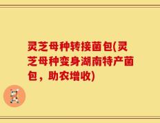 灵芝母种转接菌包(灵芝母种变身湖南特产菌包，助农增收)