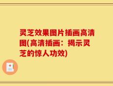 灵芝效果图片插画高清图(高清插画：揭示灵芝的惊人功效)