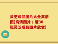 灵芝成品图片大全高清图(高清图片丨近30张灵芝成品图片欣赏)