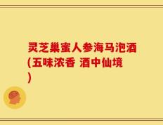 灵芝巢蜜人参海马泡酒(五味浓香 酒中仙境)
