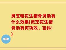 灵芝和花生猪骨煲汤有什么效果(灵芝花生猪骨汤有何功效，百科！)