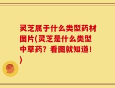 灵芝属于什么类型药材图片(灵芝是什么类型中草药？看图就知道！)