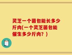 灵芝一个菌包能长多少斤肉(一个灵芝菌包能催生多少斤肉？)