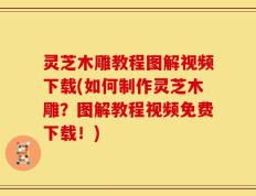 灵芝木雕教程图解视频下载(如何制作灵芝木雕？图解教程视频免费下载！)