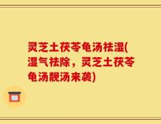 灵芝土茯苓龟汤祛湿(湿气祛除，灵芝土茯苓龟汤靓汤来袭)