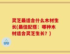 灵芝最适合什么木材生长(最佳配搭：哪种木材适合灵芝生长？)