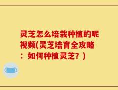 灵芝怎么培栽种植的呢视频(灵芝培育全攻略：如何种植灵芝？)