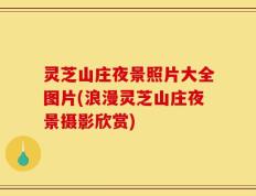 灵芝山庄夜景照片大全图片(浪漫灵芝山庄夜景摄影欣赏)