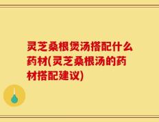 灵芝桑根煲汤搭配什么药材(灵芝桑根汤的药材搭配建议)