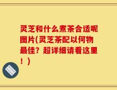 灵芝和什么煮茶合适呢图片(灵芝茶配以何物最佳？超详细请看这里！)