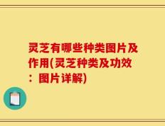 灵芝有哪些种类图片及作用(灵芝种类及功效：图片详解)
