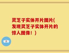 灵芝子实体开片图片(发现灵芝子实体开片的惊人图像！)