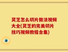 灵芝怎么切片做法视频大全(灵芝的完美切片技巧视频教程合集)