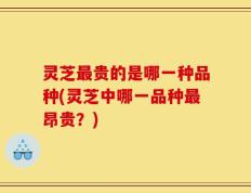 灵芝最贵的是哪一种品种(灵芝中哪一品种最昂贵？)