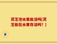 灵芝泡水里能活吗(灵芝能在水里存活吗？)