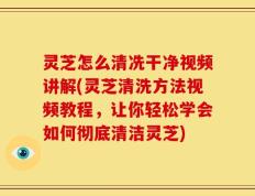 灵芝怎么清冼干净视频讲解(灵芝清洗方法视频教程，让你轻松学会如何彻底清洁灵芝)