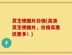 灵芝梗图片价格(高清灵芝梗图片，价格实惠优惠多！)