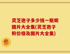 灵芝孢子多少钱一瓶呢图片大全集(灵芝孢子粉价格及图片大全集)