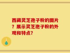 西藏灵芝孢子粉的图片？展示灵芝孢子粉的外观和特点？