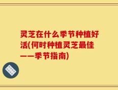 灵芝在什么季节种植好活(何时种植灵芝最佳——季节指南)