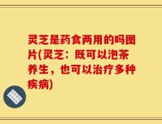 灵芝是药食两用的吗图片(灵芝：既可以泡茶养生，也可以治疗多种疾病)