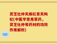 灵芝杜仲天麻红景天枸杞(中医学常用草药，灵芝杜仲等药材的功效作用解析)