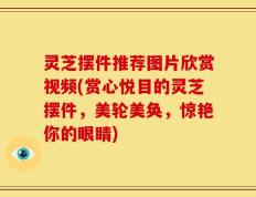 灵芝摆件推荐图片欣赏视频(赏心悦目的灵芝摆件，美轮美奂，惊艳你的眼睛)
