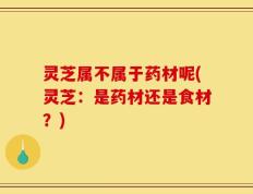 灵芝属不属于药材呢(灵芝：是药材还是食材？)