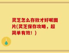 灵芝怎么存放才好呢图片(灵芝保存攻略，超简单有效！)