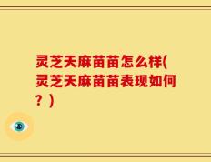 灵芝天麻苗苗怎么样(灵芝天麻苗苗表现如何？)