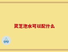 灵芝泡水可以配什么