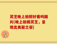 灵芝晚上拍照好看吗图片(晚上拍摄灵芝，呈现出美丽之姿)