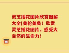 灵芝插花图片欣赏图解大全(美轮美奂！欣赏灵芝插花图片，感受大自然的生命力！