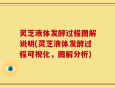 灵芝液体发酵过程图解说明(灵芝液体发酵过程可视化，图解分析)