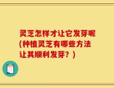 灵芝怎样才让它发芽呢(种植灵芝有哪些方法让其顺利发芽？)