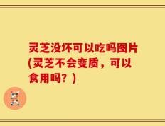 灵芝没坏可以吃吗图片(灵芝不会变质，可以食用吗？)