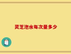灵芝泡水每次量多少
