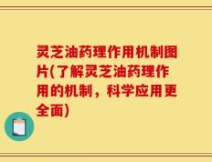 灵芝油药理作用机制图片(了解灵芝油药理作用的机制，科学应用更全面)