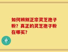 如何辨别正宗灵芝孢子粉？真正的灵芝孢子粉在哪买？