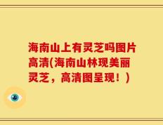 海南山上有灵芝吗图片高清(海南山林现美丽灵芝，高清图呈现！)