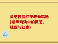 灵芝桂圆红枣老母鸡汤(老母鸡汤中的灵芝、桂圆与红枣)