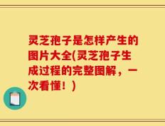 灵芝孢子是怎样产生的图片大全(灵芝孢子生成过程的完整图解，一次看懂！)