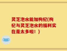 灵芝泡水能加枸杞(枸杞与灵芝泡水的福利实在是太多啦！)