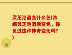 灵芝泡酒变什么色(浓缩灵芝泡酒后变色，你见过这种神奇变化吗？)