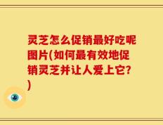 灵芝怎么促销最好吃呢图片(如何最有效地促销灵芝并让人爱上它？)